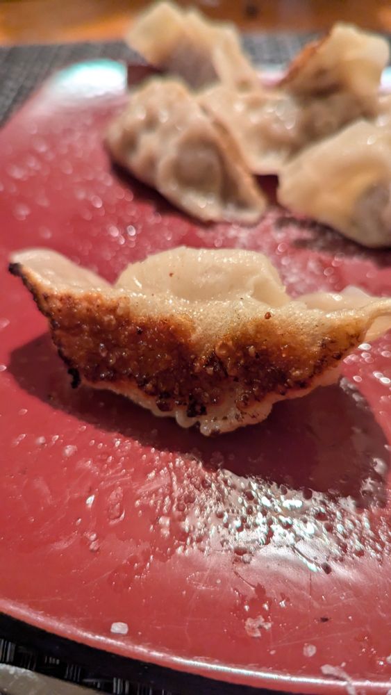 Chinese dumpling on a red plate. Shows a golden brown crispy bottom.