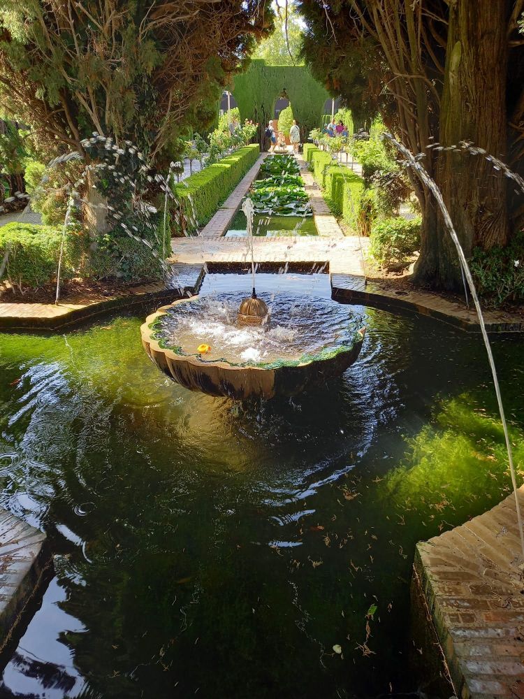 A fountain with green water and a circular bowl in the middle collecting water that is coming from several jets from the sides. It is partially lit by the sun, surrounded by conifers giving shade. In the background a long stretching part of the gardens can be seen.