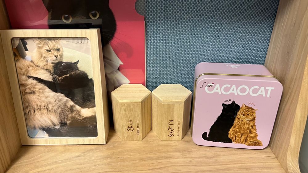 猫の仏壇
