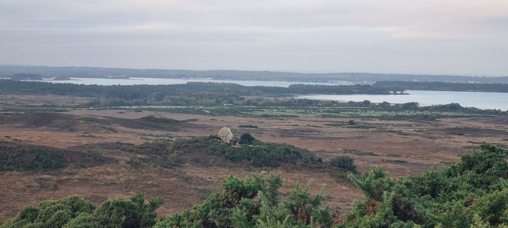 View across heathland towards pool harbour. Foreground is green gorse, fading to brown. A standing stone is in the middle ground. In the distance blue water interspersed with land. Hazy sky with fair cloud and a hint of blue
