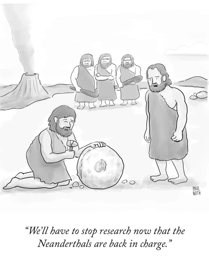 "We'll have to stop research now that the Neanderthals are back in charge."
