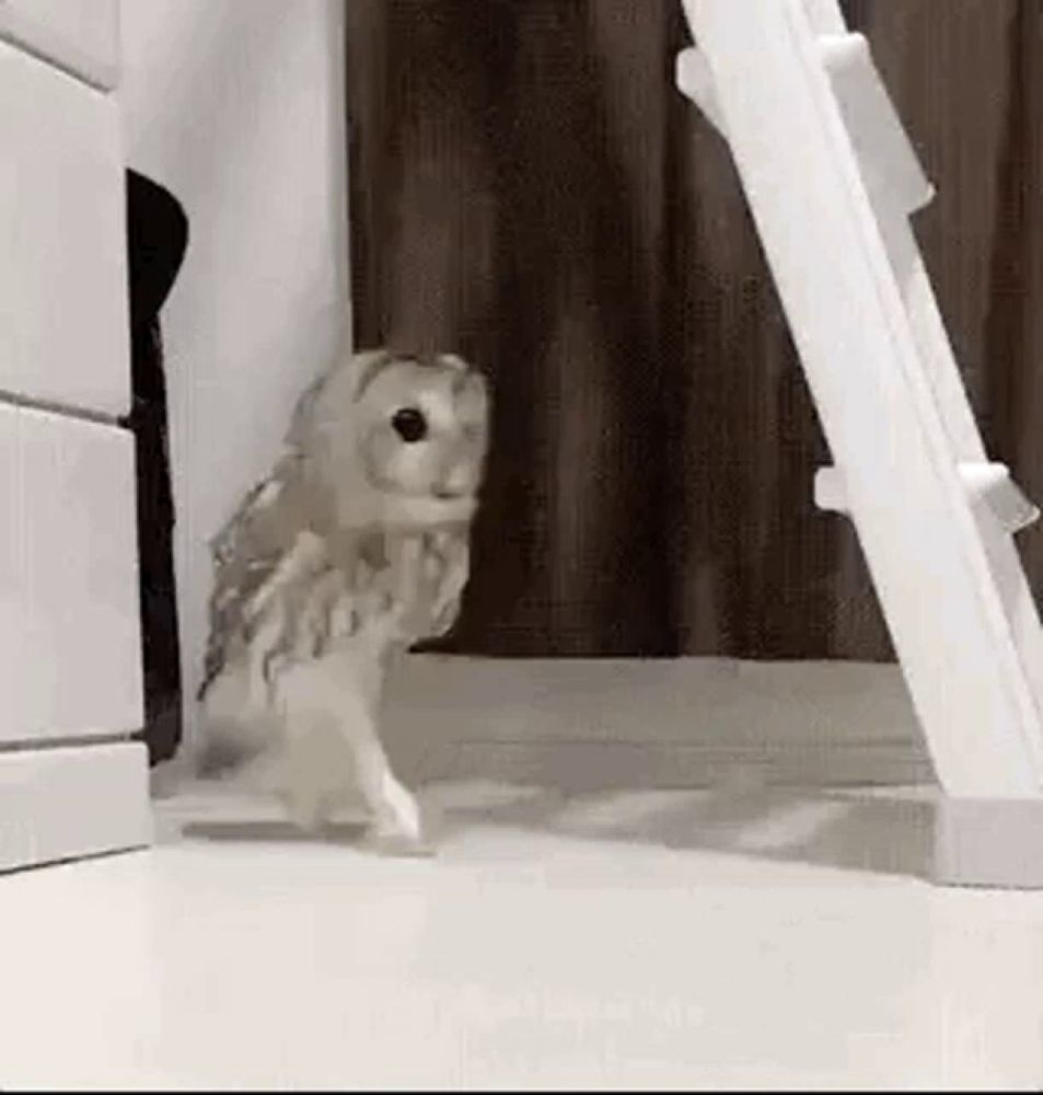 a small owl is standing on its hind legs next to a ladder .