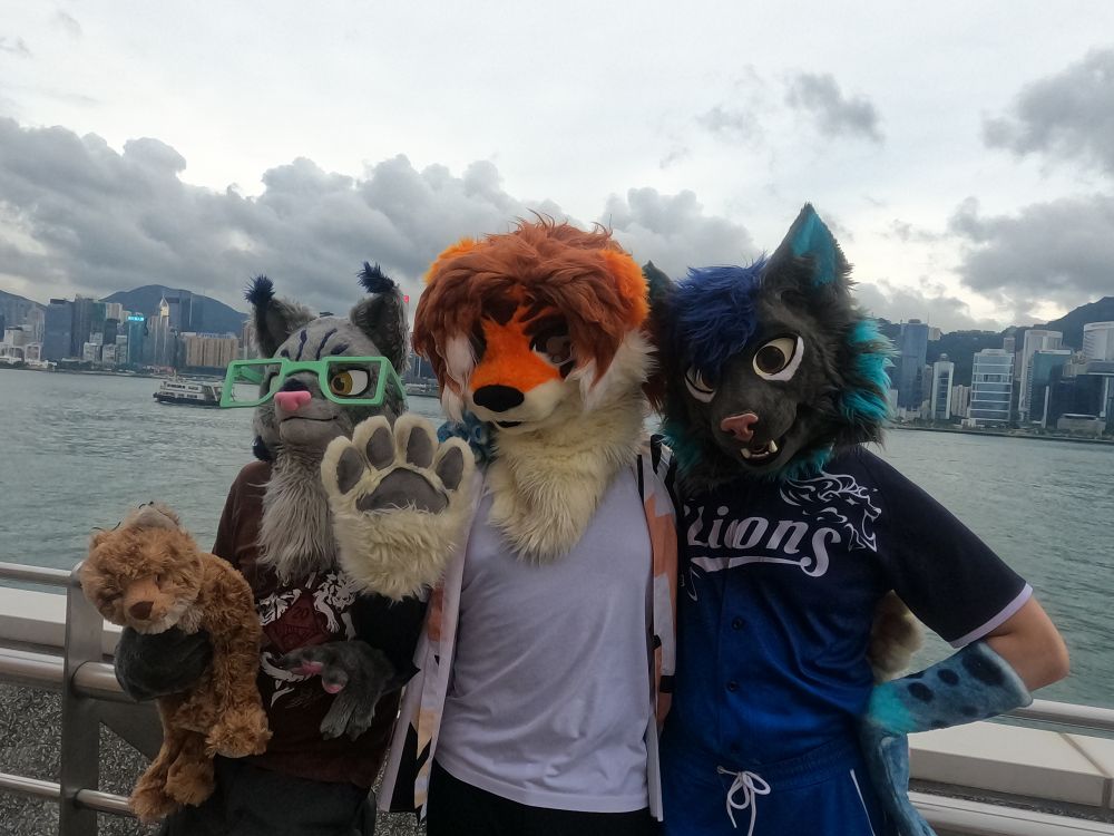 A bobcat, tiger-wah, and a lynx fursuiter posing for a photo with a harbour skyline behind them during a cloudy day.