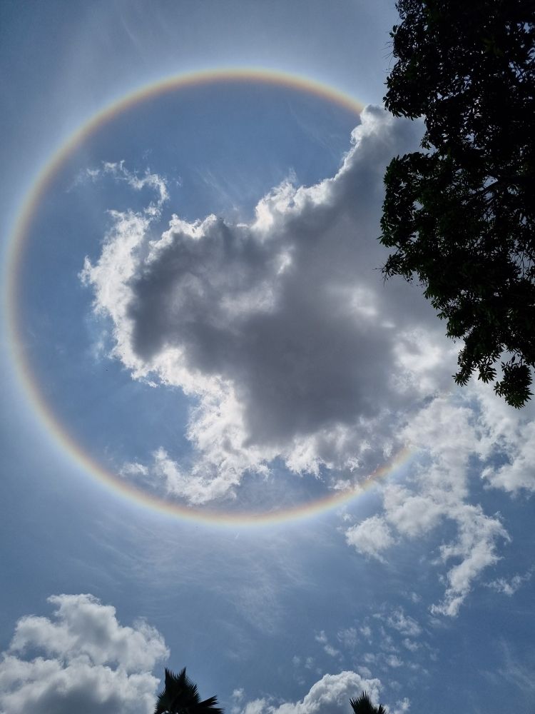 Uma imagem do sol coberto por uma nuvem e envolto no fenômeno conhecido como Halo Solar