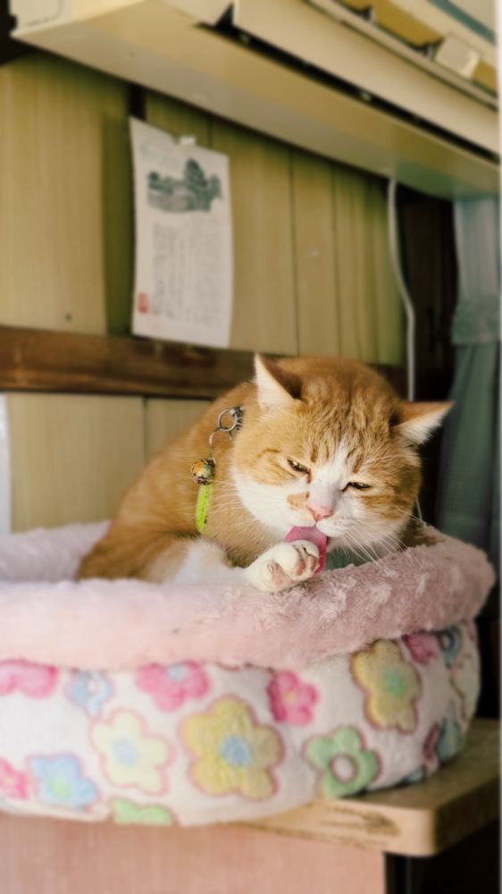 さんじゅーろー