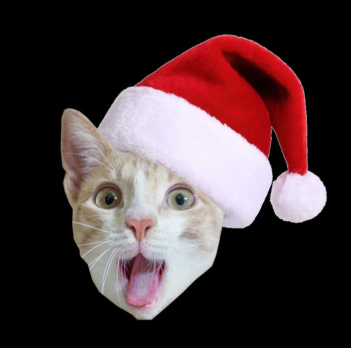 Comment image