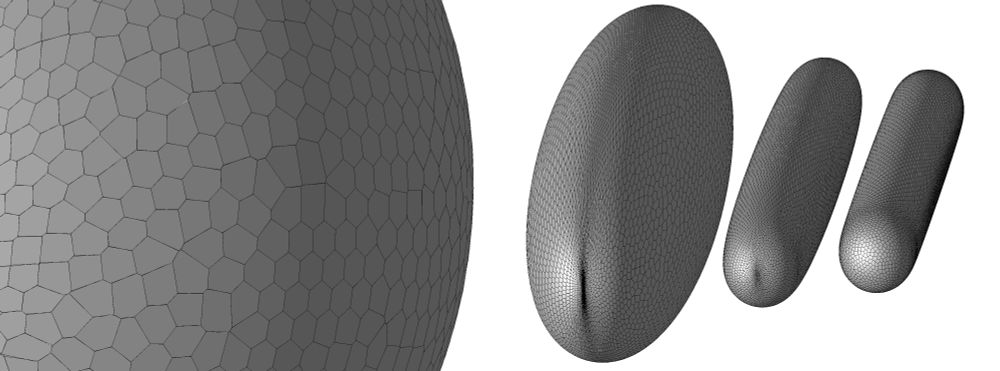 Four gray surfaces drawn using non-overlapping polygons. They begin on the left with a large sphere which is partially off the edge of the image. The surfaces are images of each other under a map, and get smaller and more sausage shaped from left to right. 