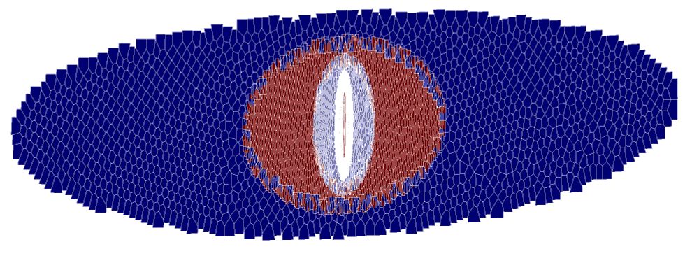 A blue oval, tiled y irregular polygons. A circular region is cut out of the enter, tiled in red polygons. Then a blue oval, then a white oval. Looks like an eye.