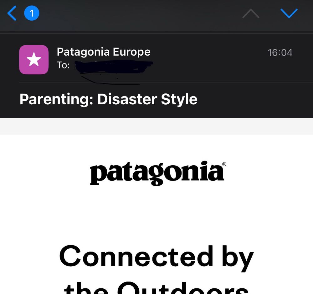 Email titled “Parenting Disaster Style”. 