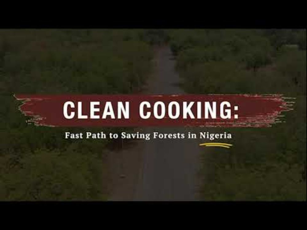 Clean Cooking: Fast Path to Saving Forests in Nigeria