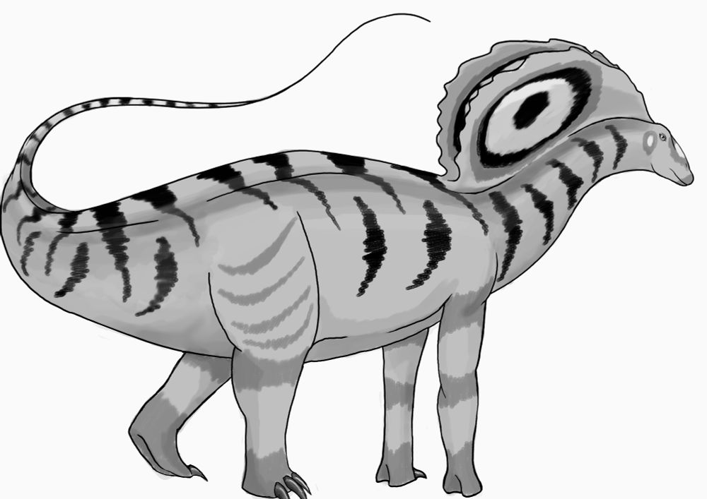 Black and white drawing of an Amargasaurus cazaui, with stripes going down its back and neck and large eyespots on the neck sail. The legs and end of tail are banded.