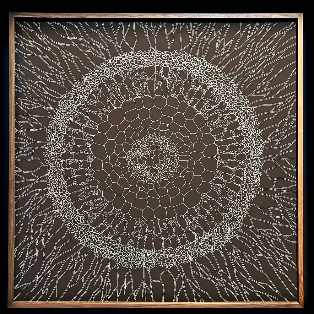 Mariana Heilmann - Symbiosis 