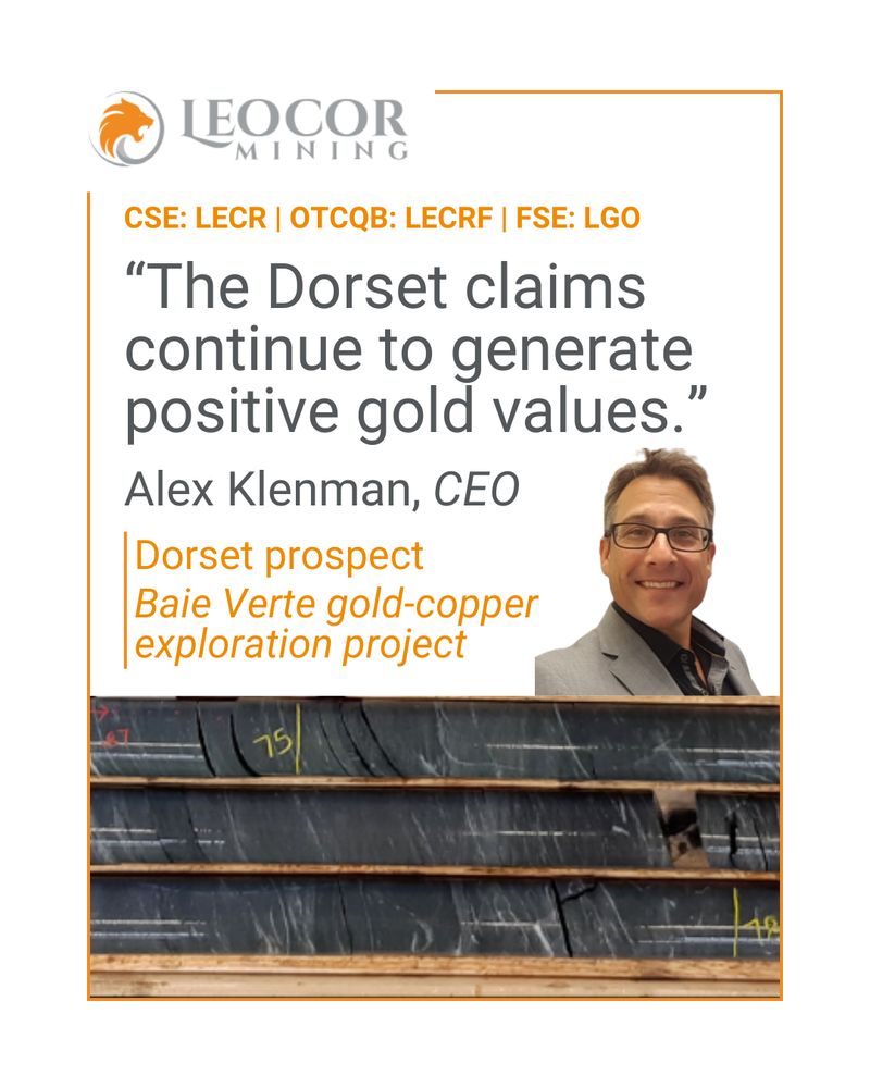 Alex Klenman%2C CEO of Leocor Mining (CSE: LECR) on results from recently completed drill program