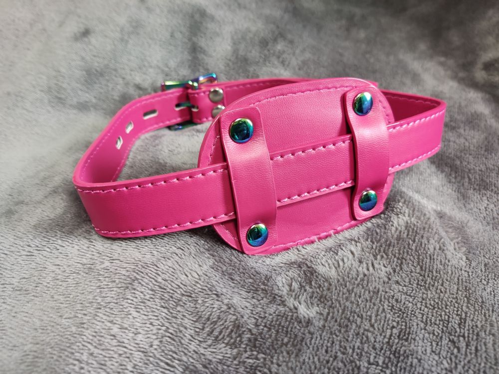 a pink panel gag with new hardware: stainless steel and rainbow