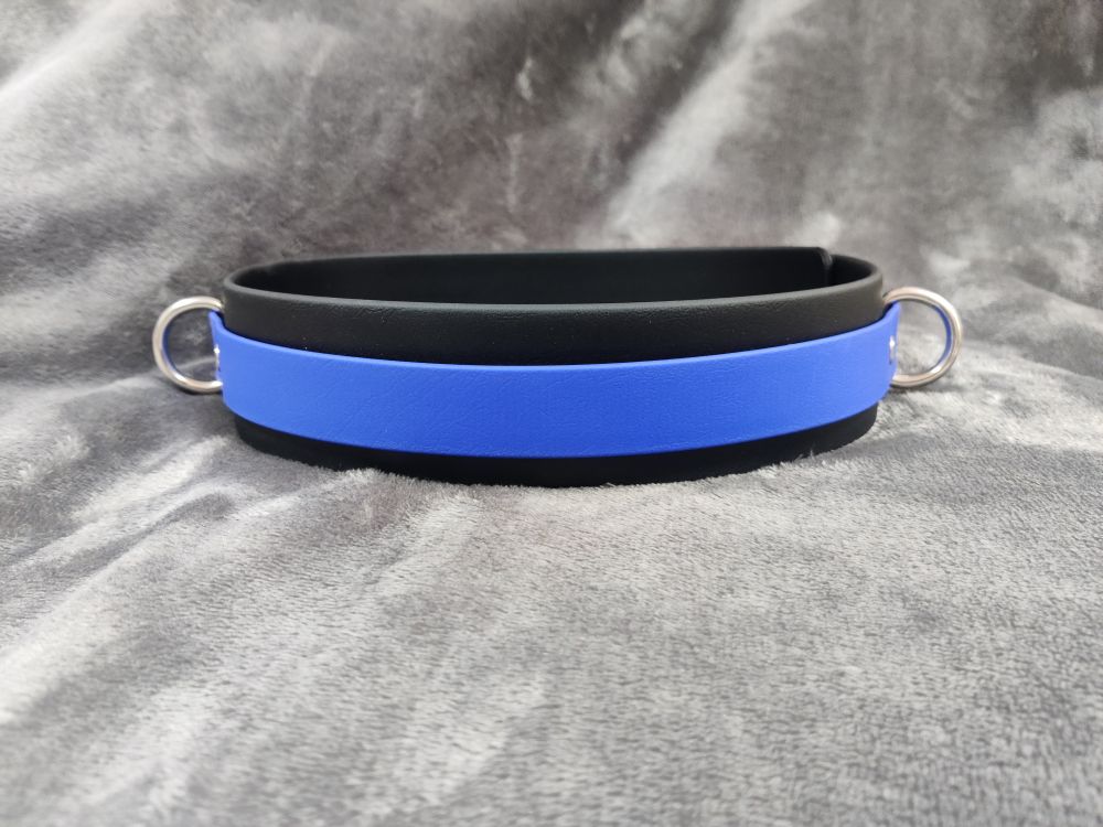 front - or back - angle of the black and blue belt, showing it's blank (like the commissioner wanted) with a D ring neatly on each side