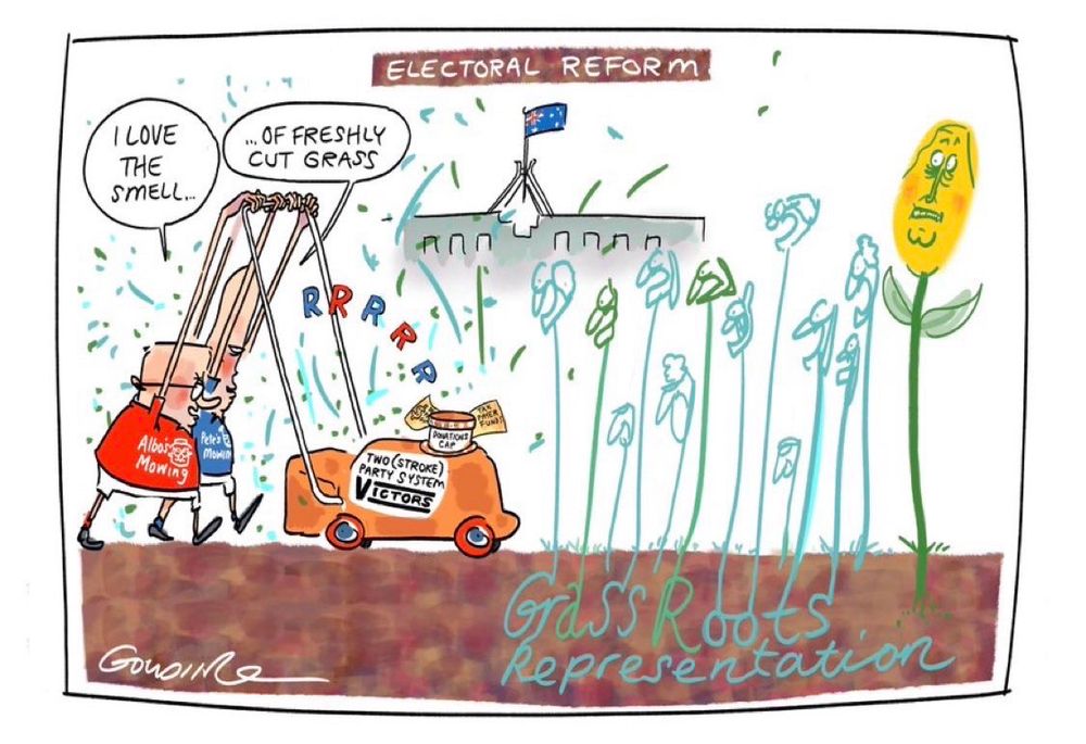 Cartoon of Peter Dutton and Anthony Albanese using a lawnmower with the words “Two (Stroke) Party System: VICTORS” written on it. They are mowing through grass with roots that read “Grassroots Representation”. Behind them, Parliament House stands tall like a castle with ‘Electoral Reform’ above it.