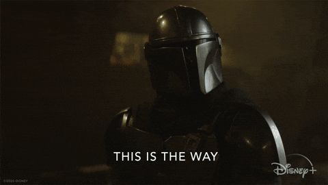 A gif of the Mandalorian saying “This is the way”. 