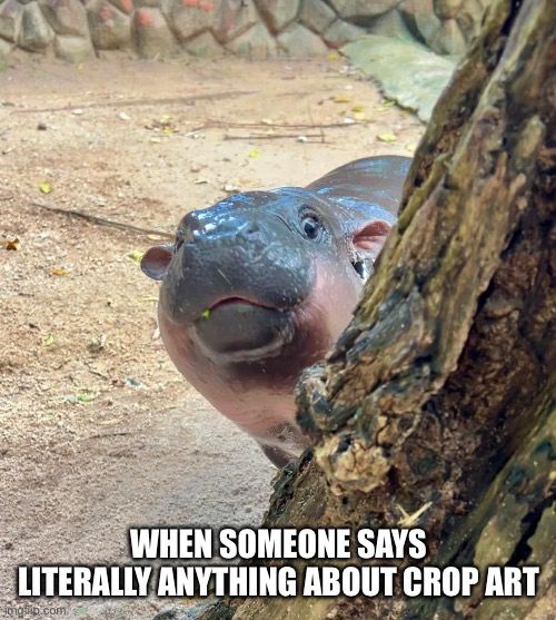 The baby hippo Moo Deng peeks from behind a tree with text at the bottom that says “When someone says literally anything about crop art”. 