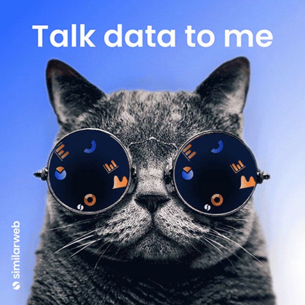 a cat wearing a pair of glasses with the words talk data to me above it