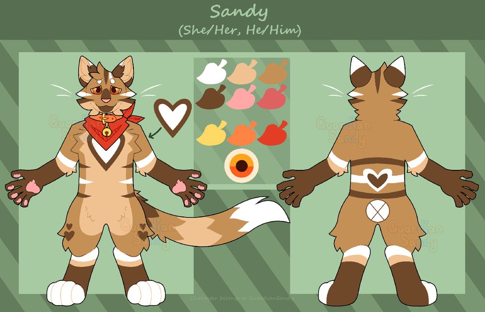 Sandy's reference sheet. Includes a front and back view. She is tan, brown, and white with alternating color stripes. She wears an orange collar and a darker orange bandana.