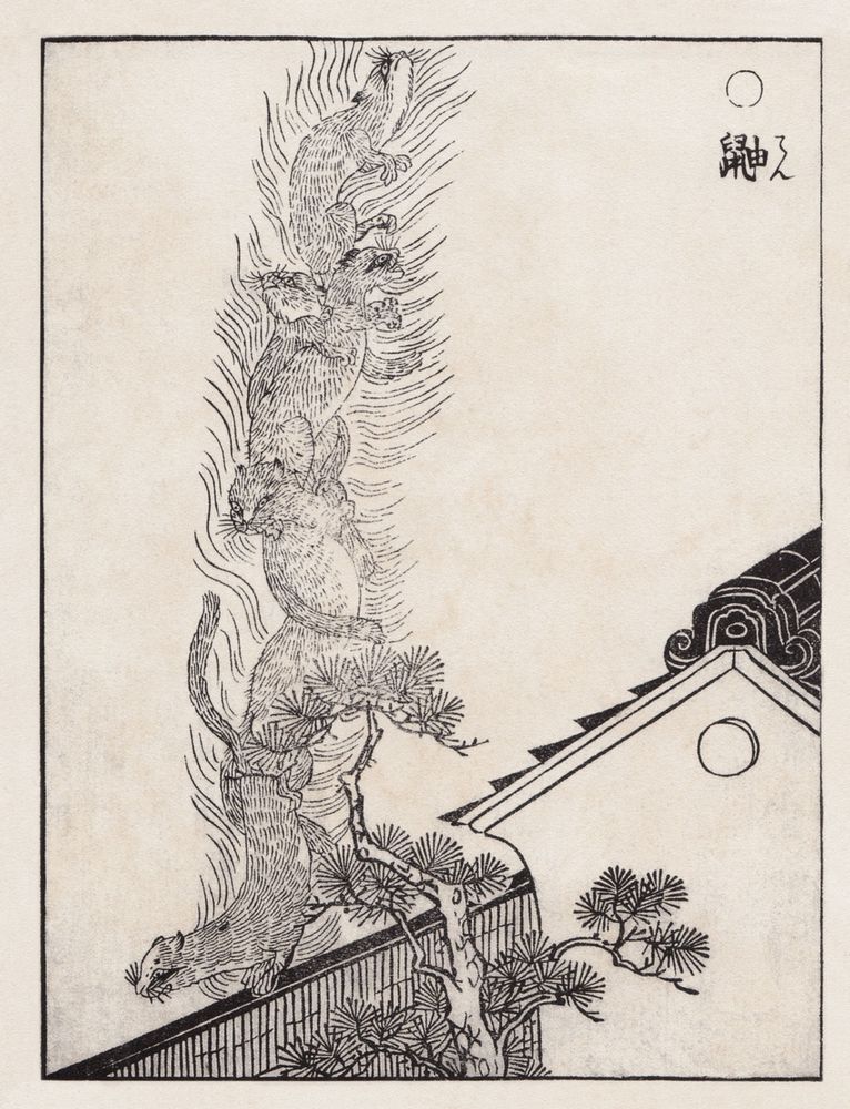 An illustration from the artist-poet Toriyama Sekien's 1776 bestiary Gazu Hyakki Yagyō depicting five "ten" (Japanese martens) stacked one on top of the other like a furry ladder atop the garden or courtyard wall of a large fancy house, presumably having gotten there via the branches of a nearby tree, transforming themselves into a pillar of ghostly fire. In Japanese folklore, martens are shapeshifters heavily associated with fire; witnessing them doing this is generally an omen of disaster by fire befalling the nearby house. For what it's worth, the martens' expressions are really funny.