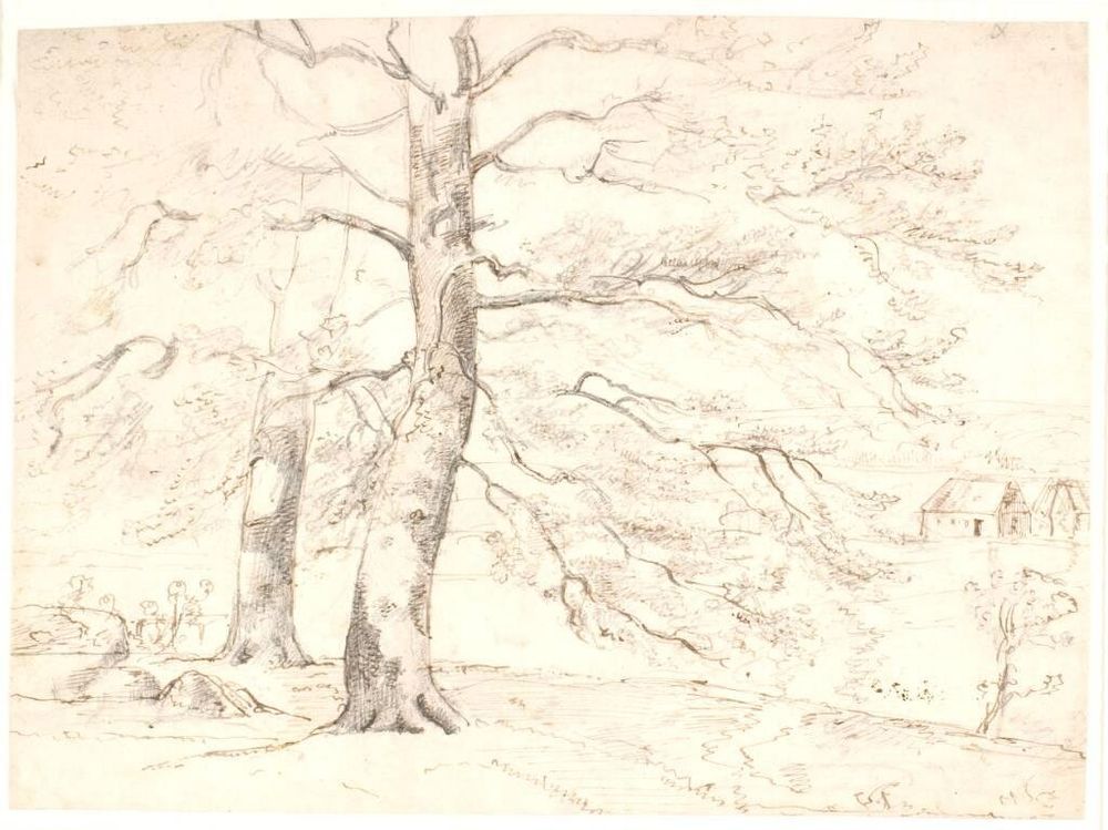 Titel: Udsigt over et landskab, i forgrunden store bøgetræer
Kunstner: Dreyer, Dankvart
Produktionsår: 1840-1843
Link til SMK: https://open.smk.dk/artwork/image/KKS7765