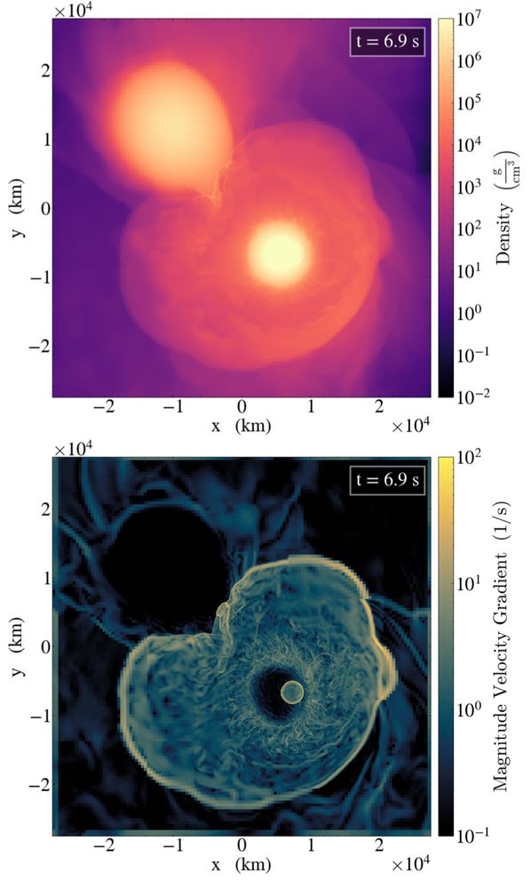 Two plots, showing the density and the gradient of the velocity field of merging binary white dwarfs (top and bottom, respectively). Two detonations are seen in the lower, more massive white dwarfs.