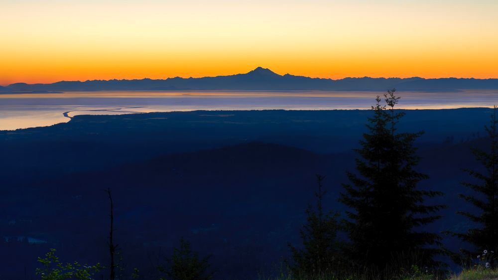 Dawn on the Olympic Peninsula, a mountain range and body of waster with trees and flowers in the foreground.