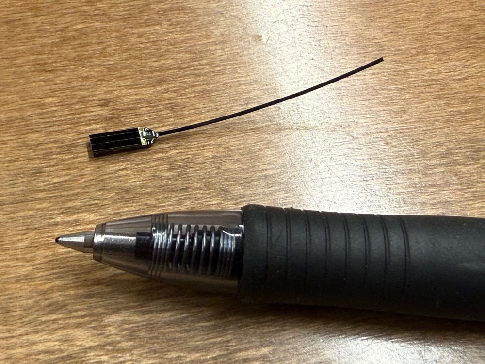 A tiny black wildlife transmitter with a thin wire antenna sits on a wooden tabletop next to the tip of a black ballpoint pen, showing how small the device is by comparison.
