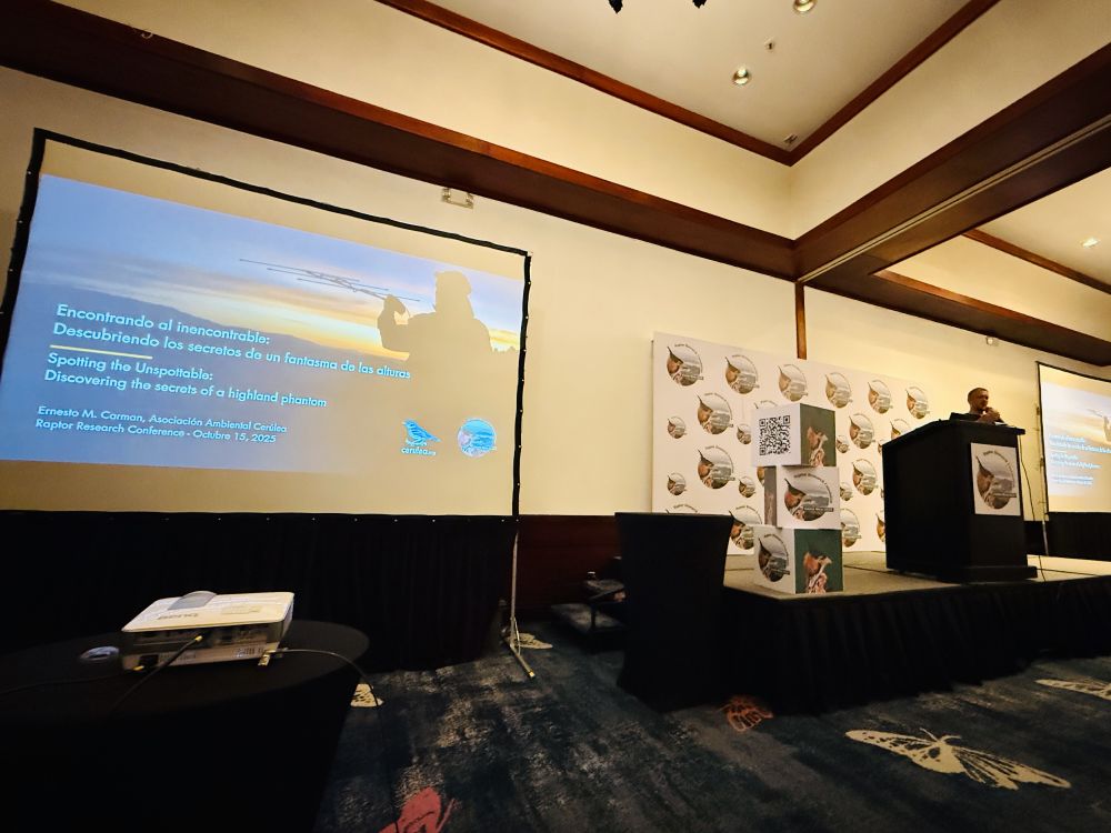 A wide view of Ernesto Carman presenting his talk, “Spotting the Unspottable: Discovering the secrets of a highland phantom,” at the Raptor Research Foundation conference, with the talk title projected beside him.