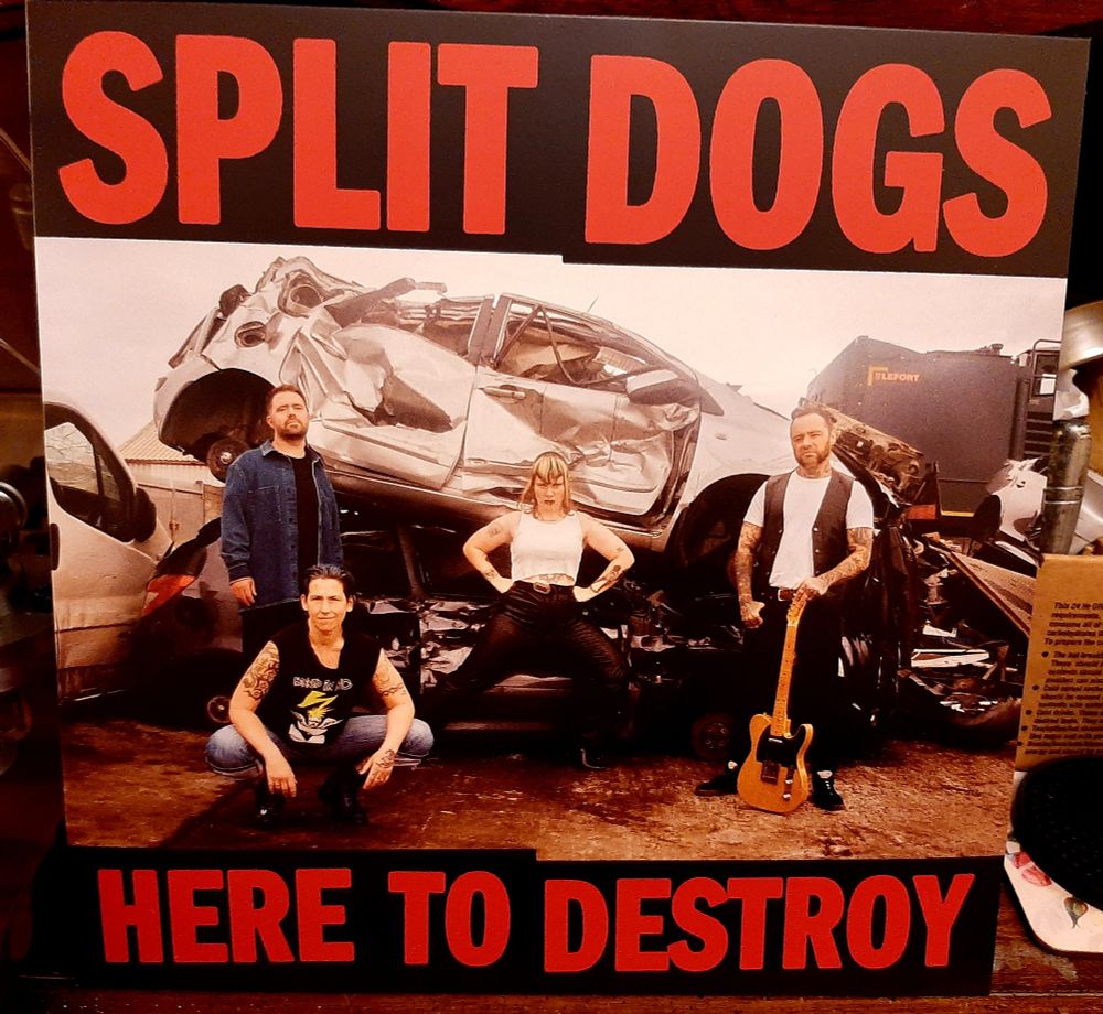 Front cover art of the outer sleeve of "Here to Destroy" by Split Dogs.