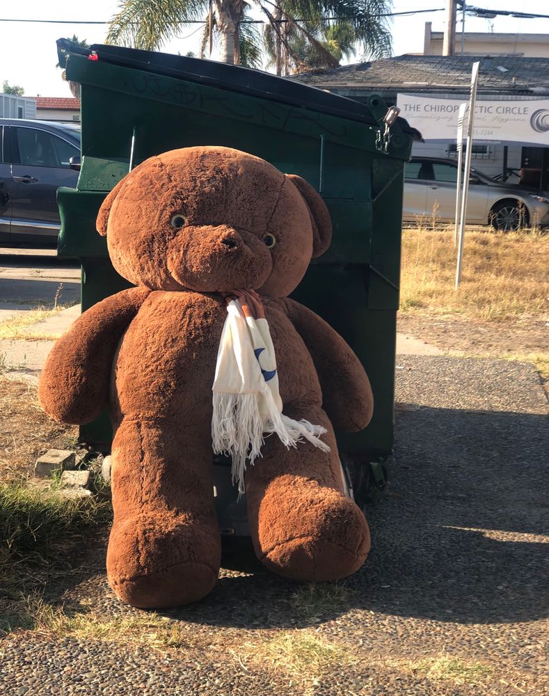 A very sad looking oversized teddy bear in a jaunty scarf, alone, leaning against a dumpster in an unutterably depressing tableau