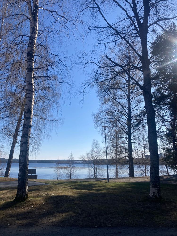 A picture of very blue sky some water and trees. A very pretty sparse landscape