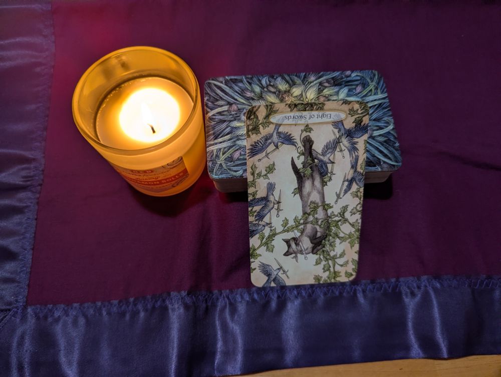 The Soul Cats Tarot deck and a candle (cinnamon rolls scent) are arranged on a purple cloth. The 8 of Swords card has been pulled in the reversed position and is displayed.