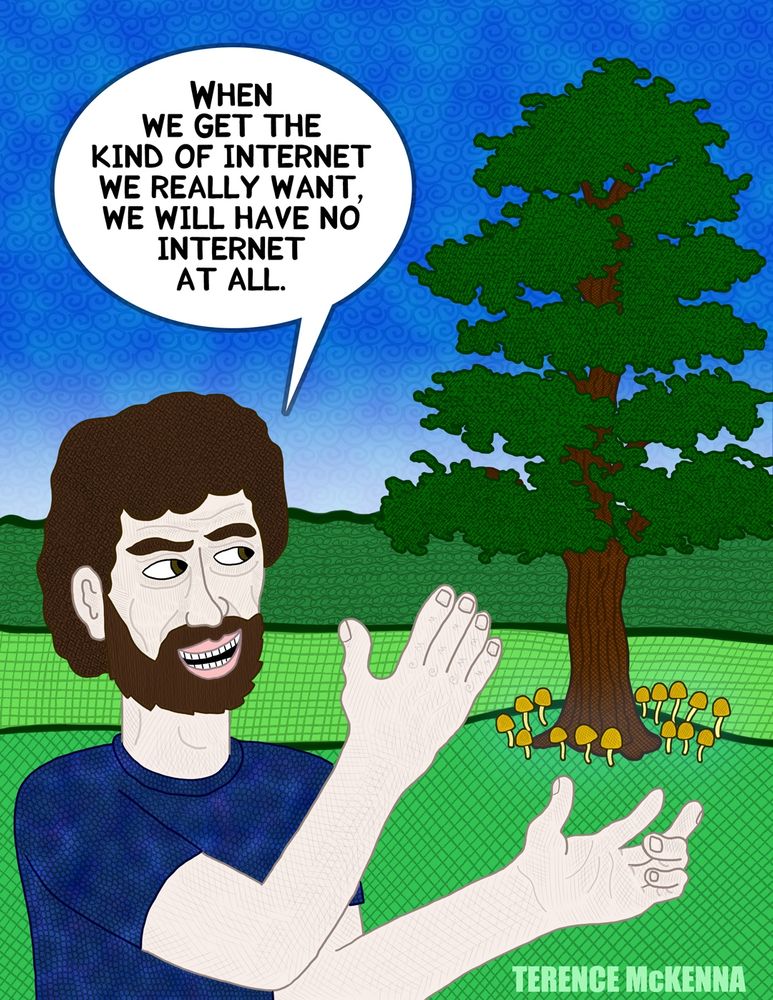 Terence McKenna: "When we get the kind of internet we really want, we will have no internet at all."