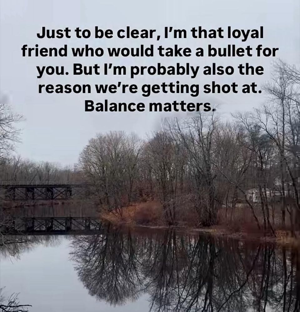 Just to be clear, I'm that loyal friend who would take a bullet for you. But I'm probably also the reason we're getting shot at. Balance matters. 