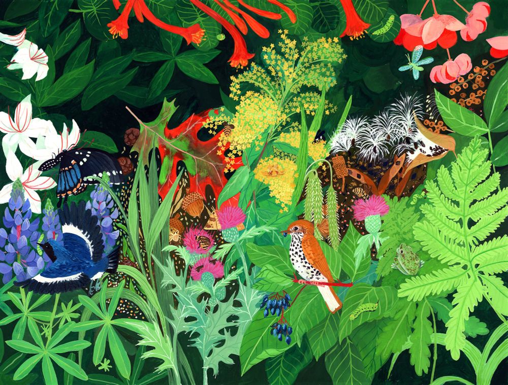 A lush, intricate gouache painting featuring many leaves in different colors and textures, plus native birds, insects, flowers, and seeds.