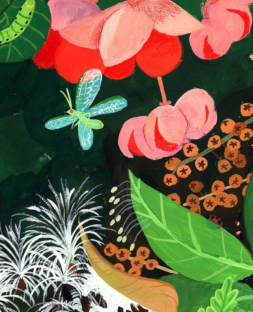 Snippet of a gouache painting showing a green lacewing flying away from its dangling eggs laid on a milkweed leaf. Its transparent wings overlay a lush green background and a bright pink eastern wahoo fruit. Brown maleberry seeds cascade down from the right toward a puff of downy white milkweed seeds flying into the air.