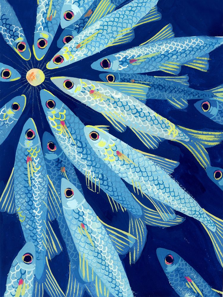 A shoal of silver-blue swallowtail shiners, small minnows, surround a shining orb in the top left corner of the painting. Their scales shine with yellow light.