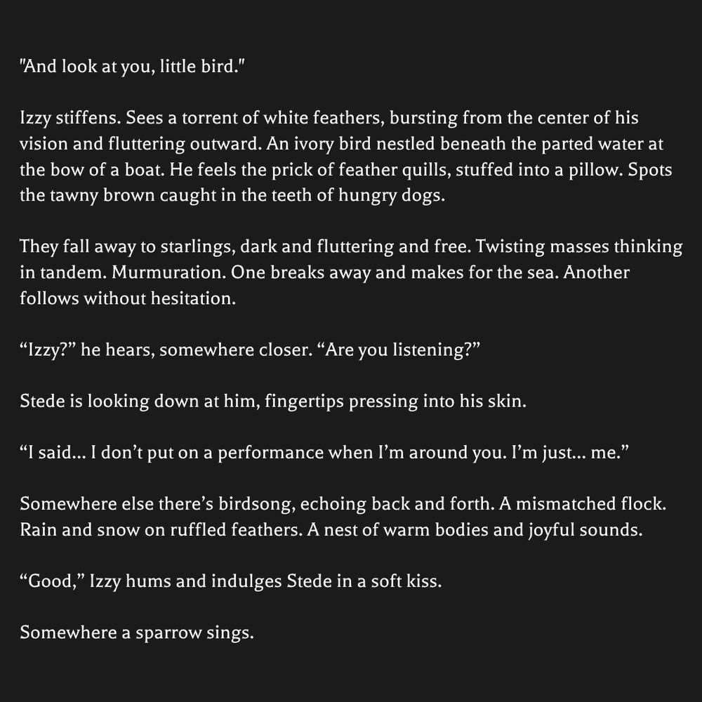 "And look at you, little bird."

Izzy stiffens. Sees a torrent of white feathers, bursting from the center of his vision and fluttering outward. An ivory bird nestled beneath the parted water at the bow of a boat. He feels the prick of feather quills, stuffed into a pillow. Spots the tawny brown caught in the teeth of hungry dogs. 

They fall away to starlings, dark and fluttering and free. Twisting masses thinking in tandem. Murmuration. One breaks away and makes for the sea. Another follows without hesitation.

“Izzy?” he hears, somewhere closer. “Are you listening?”

Stede is looking down at him, fingertips pressing into his skin. 

“I said… I don’t put on a performance when I’m around you. I’m just… me.”

Somewhere else there’s birdsong, echoing back and forth. A mismatched flock. Rain and snow on ruffled feathers. A nest of warm bodies and joyful sounds.

“Good,” Izzy hums and indulges Stede in a soft kiss.

Somewhere a sparrow sings.
