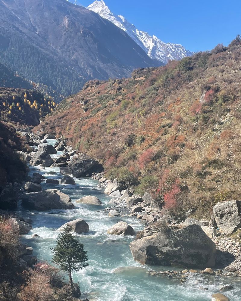 Delightful river scenery 