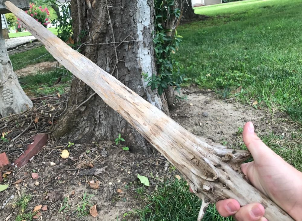A wooden stick that sorta looks like a sword. well its a long straight stick, so that's close enough to sword