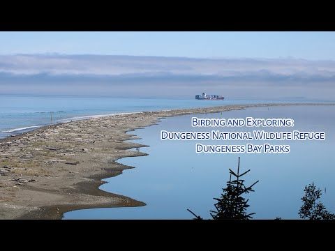 Spending a Day at the Dungeness Bay: Birding, Hiking, and Exploring!