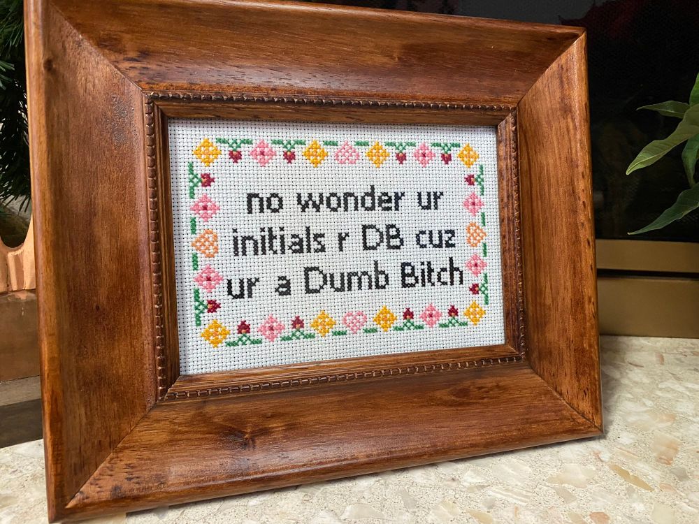 Framed cross stitch that reads no wonder ur initials r DB cuz ur a Dumb B*tch