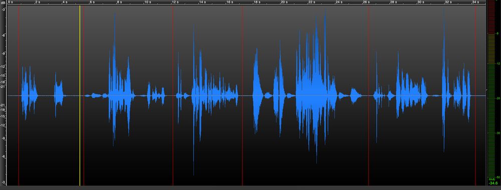 A cropped view of the wave form in Twisted Wave. Several vertical red lines -- markers -- are present throughout the recording.
