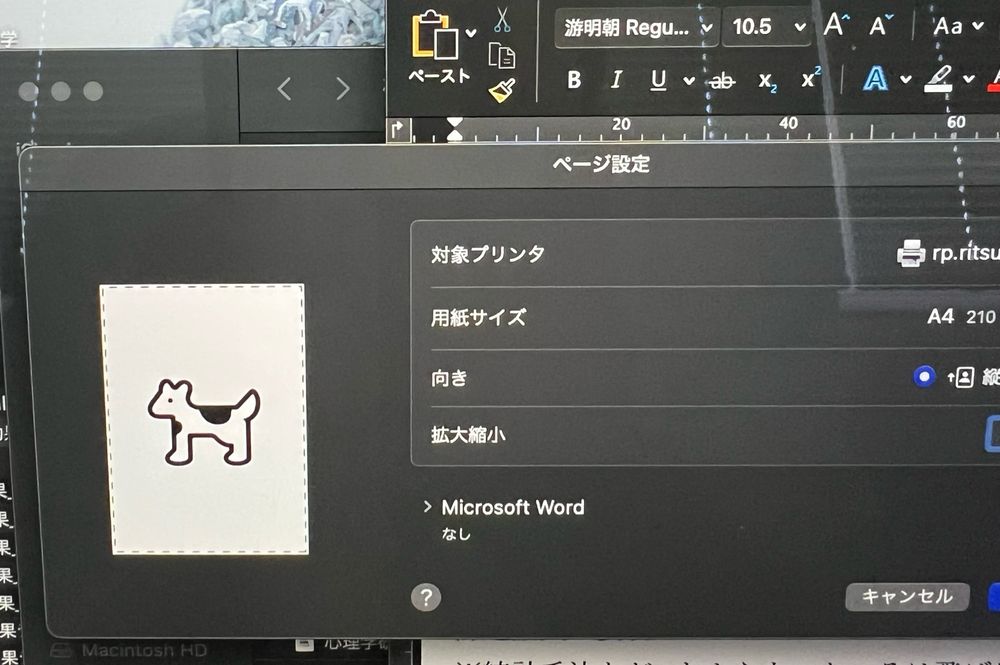 プリント画面の架空のいぬデータ