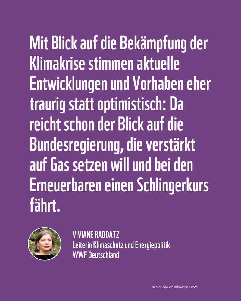 Zitat Viviane Raddatz, WWF: Mit Blick auf die Bekämpfung der Klimakrise stimmen aktuelle Entwicklungen und Vorhaben eher traurig statt optimistisch: Da reicht schon der Blick auf die Bundesregierung, die verstärkt auf Gas setzen will und bei den Erneuerbaren einen Schlingerkurs fährt. 