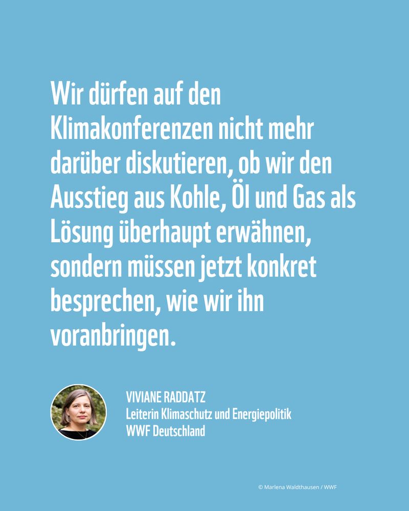 Zitat von Viviane Raddatz, WWF Deutschland: Wir dürfen auf den Klimakonferenzen nicht mehr darüber diskutieren, ob wir den Ausstieg aus Kohle, Öl und Gas als Lösung überhaupt erwähnen, sondern müssen jetzt konkret besprechen, wie wir ihn voranbringen.