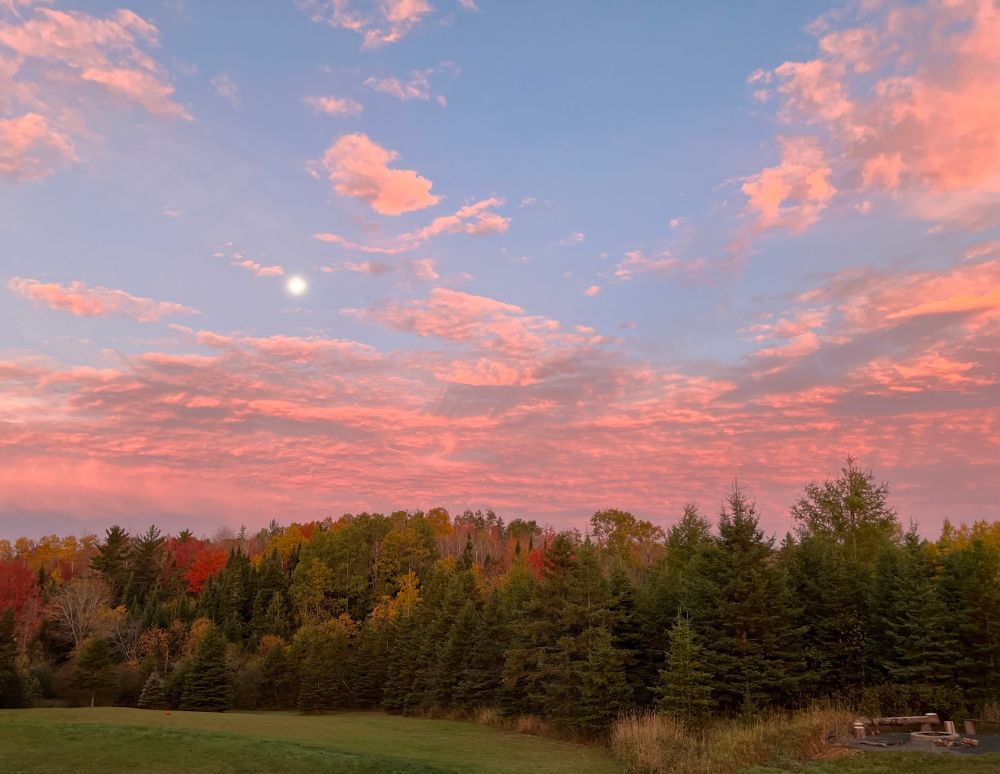 Moon in the sunrise and pink clouds in an autumn sky