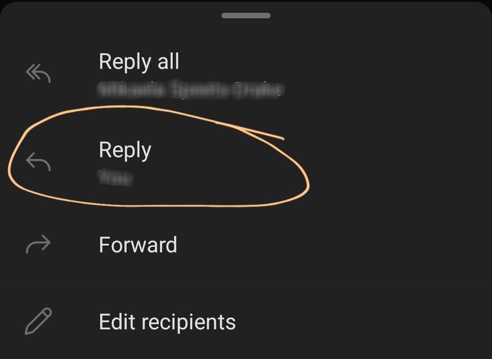 Screenshot of email reply options in the following order: "Reply All", "Reply", "Forward", and "Edit Recipients", with the "Reply" option circled. 